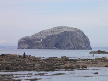 Bass Rock from Seacliff Beach