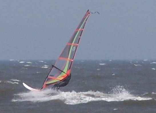 Gaastra Poison 5.4